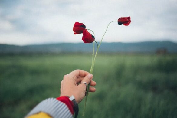 ANZAC Day Australia